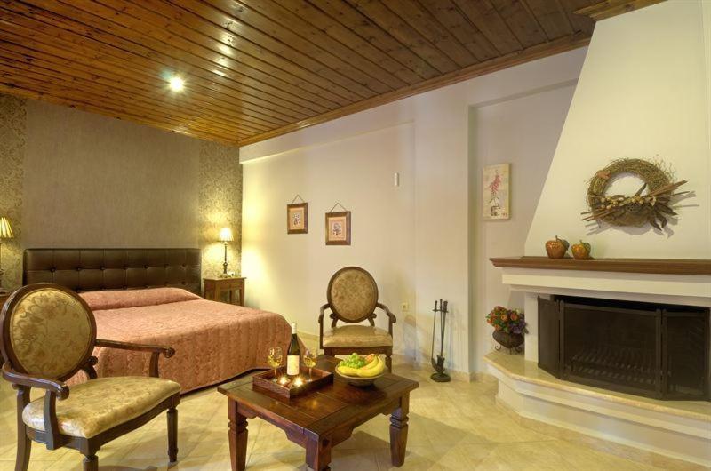 Iatrou Guesthouse Portaria  Room photo